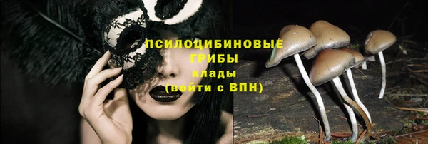 ешки Дмитриев
