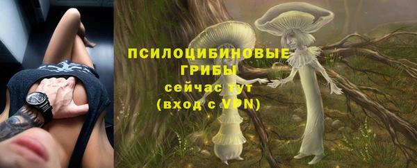 кокаин колумбия Алексин