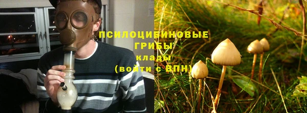 ALPHA-PVP Елизово
