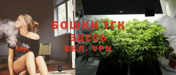 mdpv Дмитров