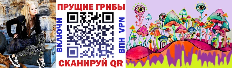 Галлюциногенные грибы мухоморы  хочу   Макушино 